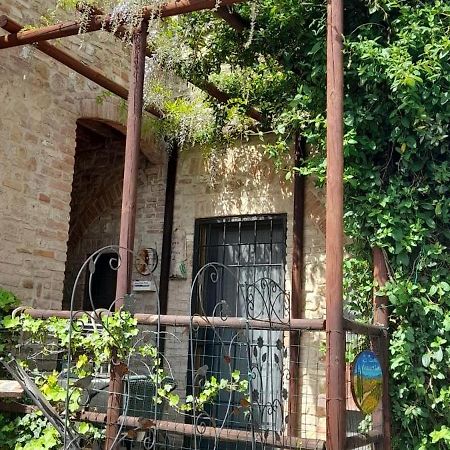 Ferienwohnung La Casina Di Ancicucco 2 San Gimignano Exterior foto